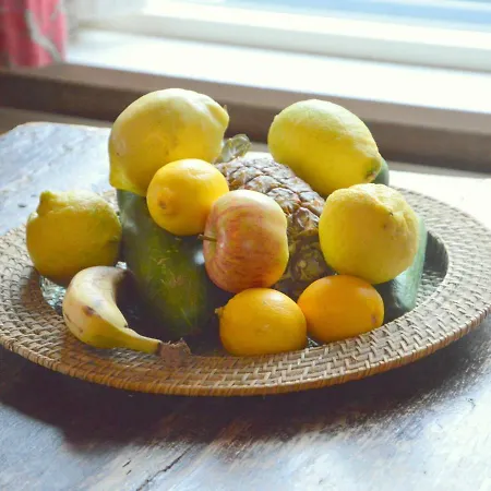 Quaint Mansion In With Terrace * Oploo