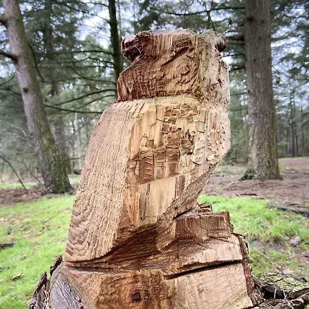 Quaint Mansion In With Terrace 別荘