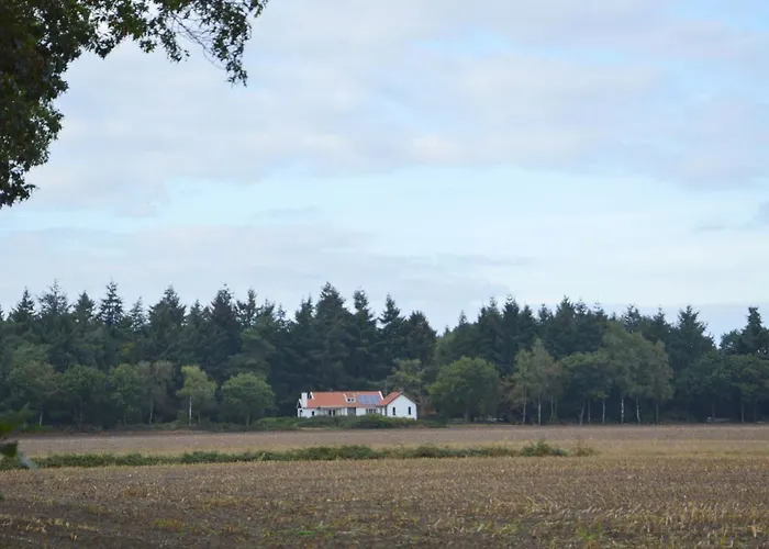 Quaint Mansion In With Terrace *