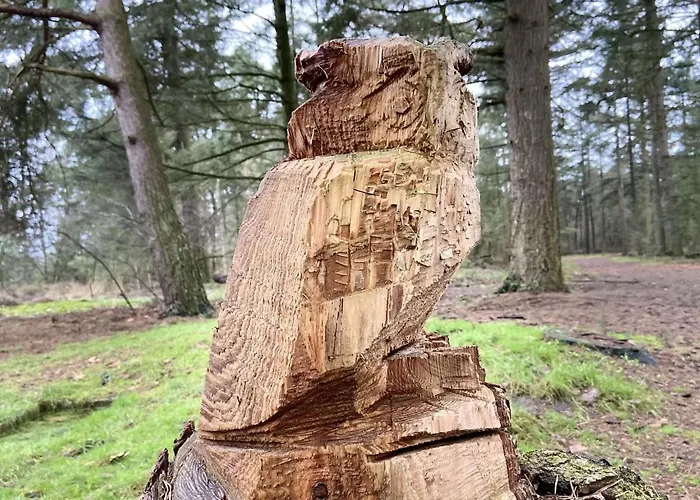 Quaint Mansion In With Terrace Hébergement de vacances